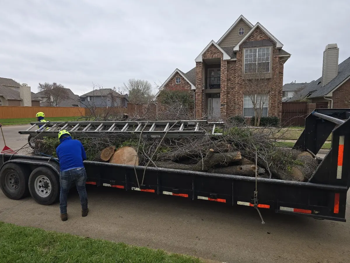Expert Tree Fertilization with proper safety equipment in Port Crane